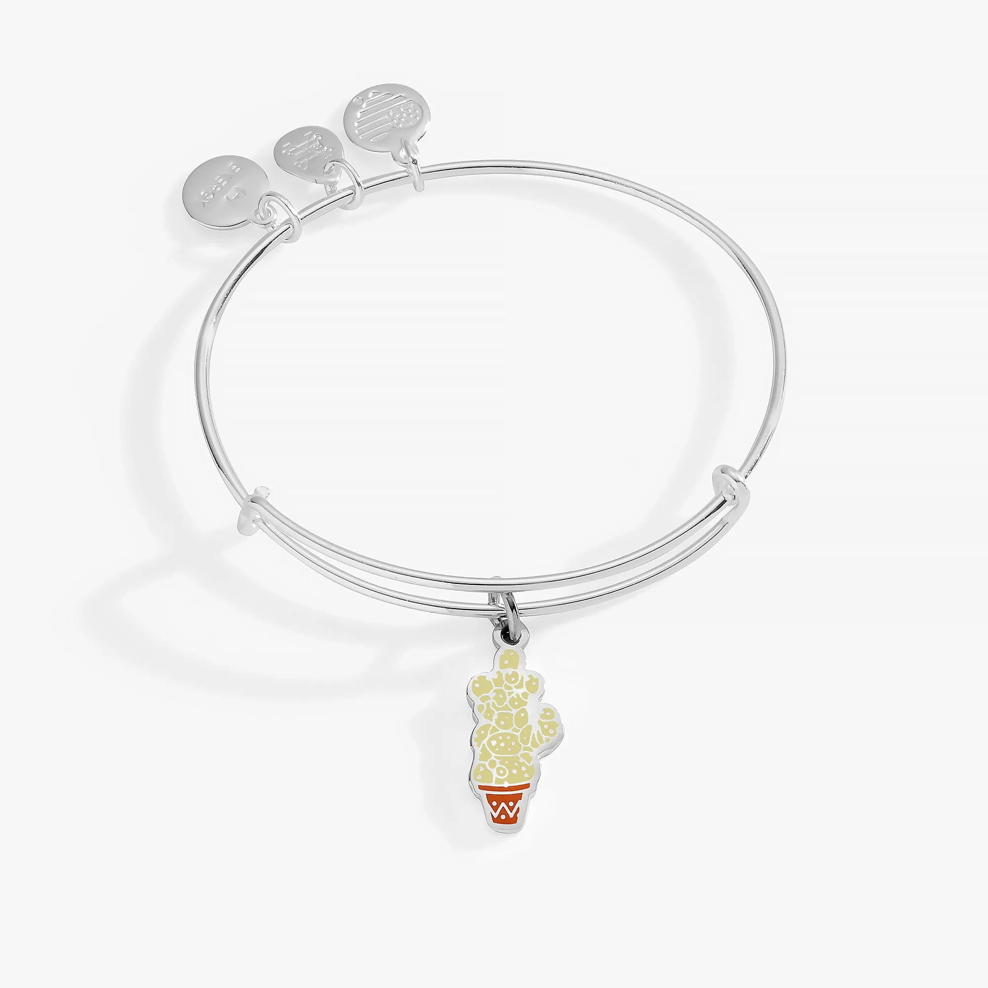 HARRY POTTER Neville Mimbulus Mimbletonia Cactus Charm Bangle