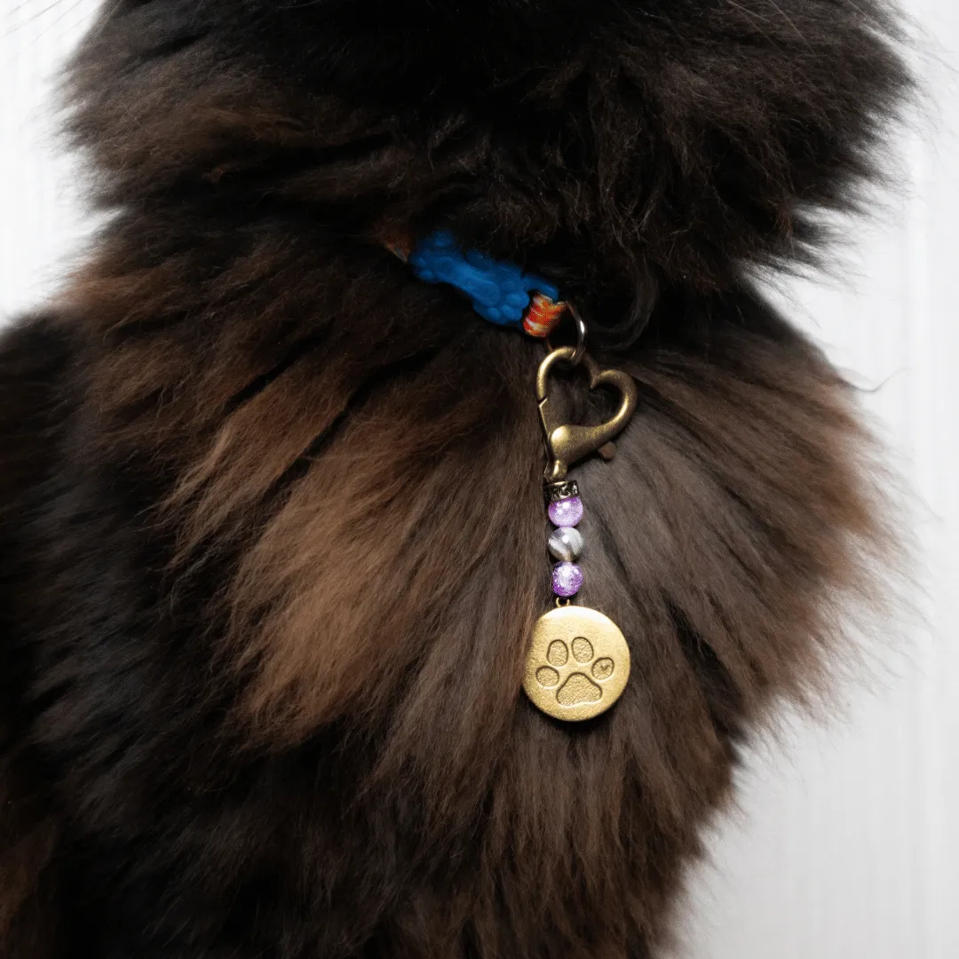 Pain Relief Pet Charm