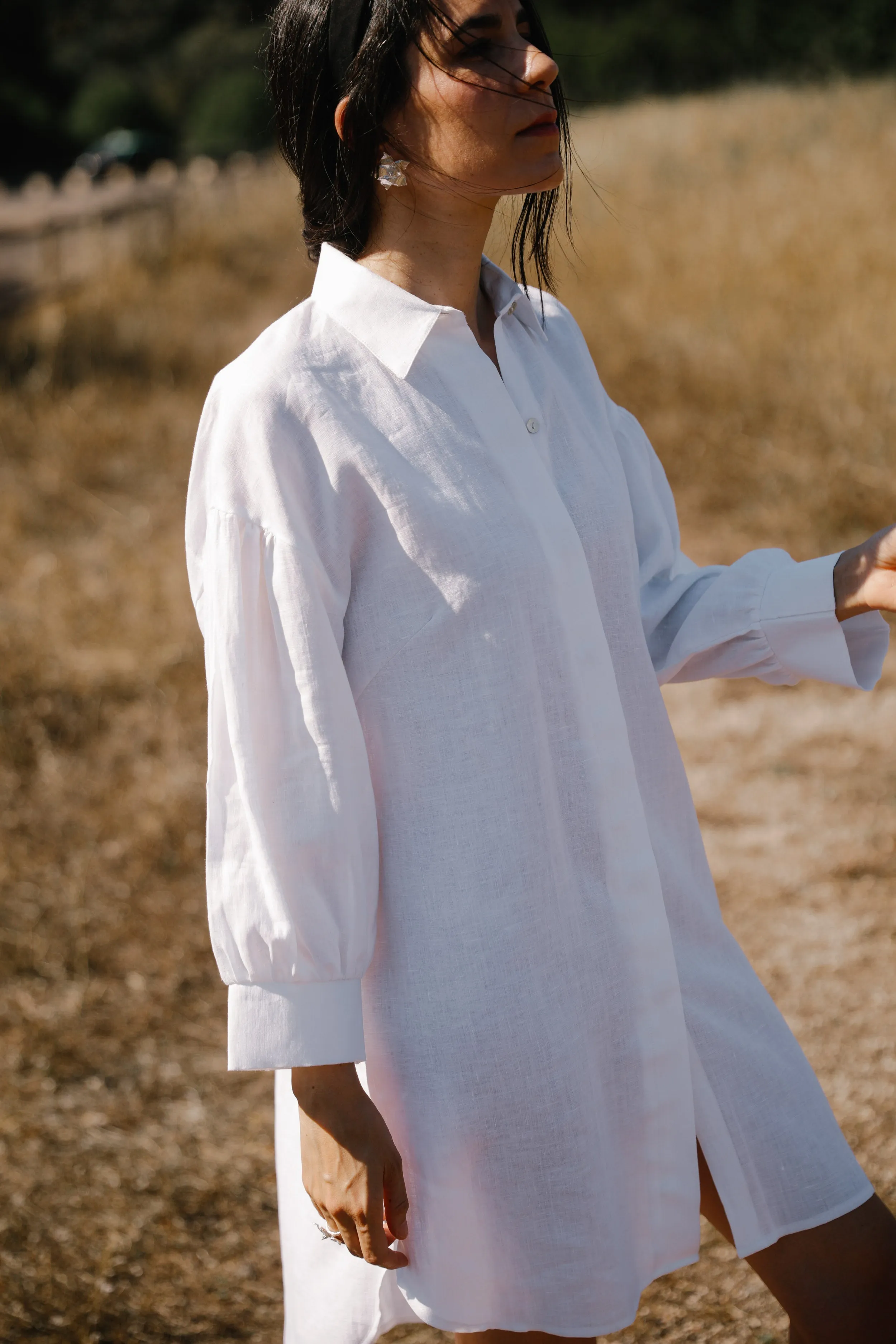 the Salt shirt dress