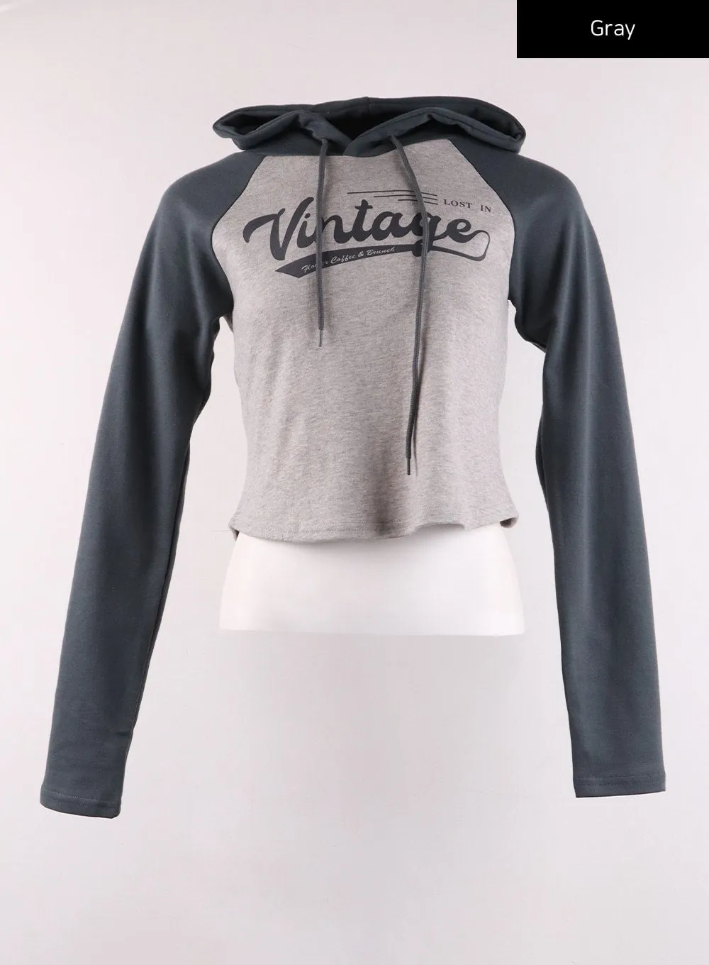 Vintage Lettering Crop Hoodie IJ430